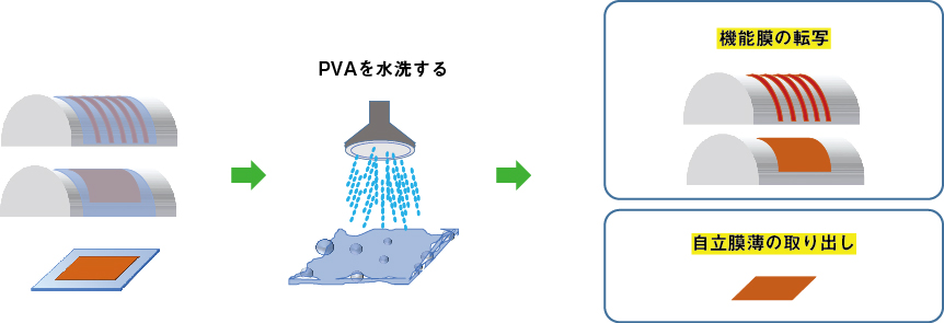 PET/PVA二層フィルム「SOシート」を使った機能性膜の取り出し